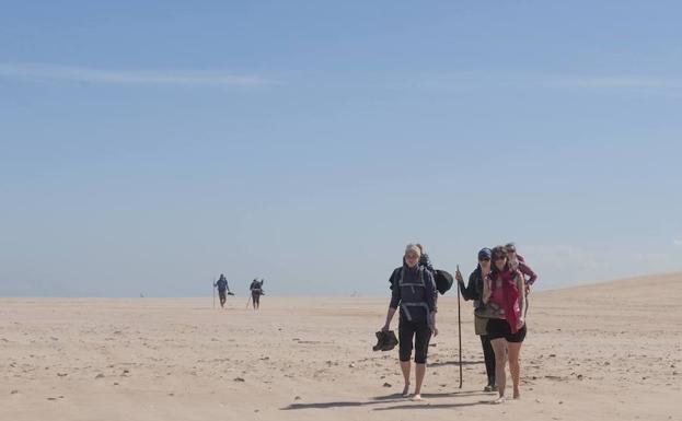 vivir sin perder el paso