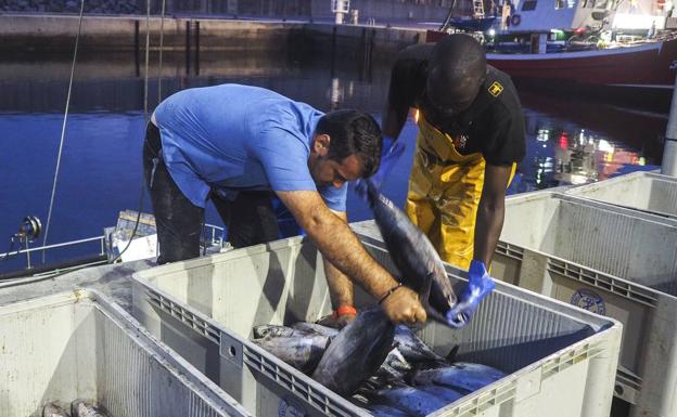 «Ha costado, pero ya tenemos bonito»