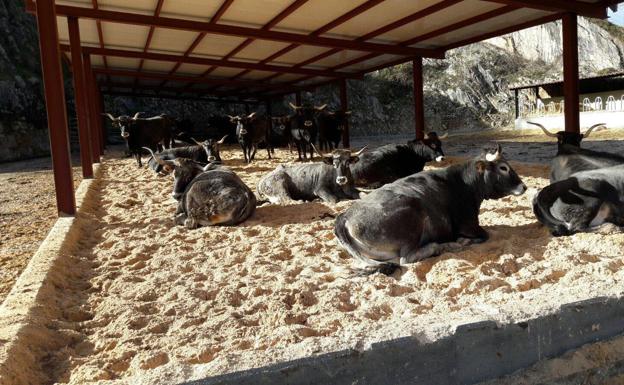 Cantabria recibirá más de 1,5 millones para programas de desarrollo rural