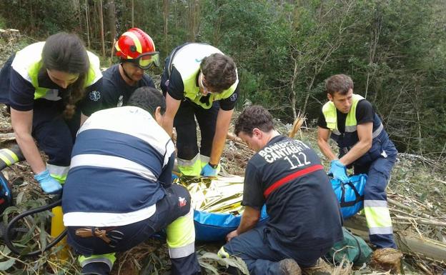 Un leñador resulta herido tras ser golpeado por un árbol en Treceño