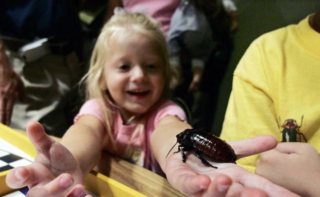 Diez consejos para que los niños disfruten en los museos