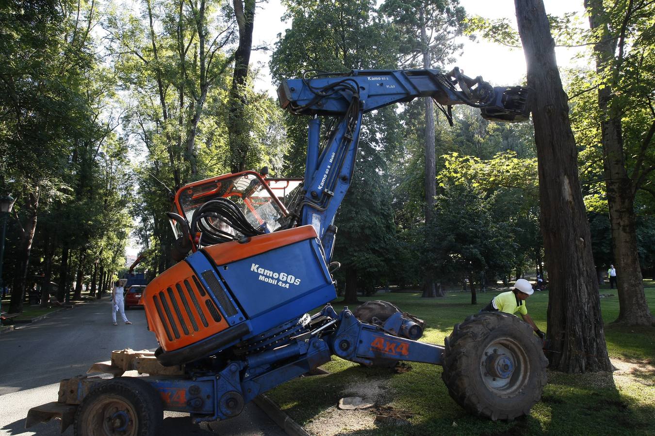Retirada de árboles en el Parque Manuel Barquín