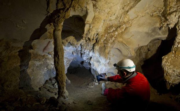 Cantabria potenciará la monitorización de sus cuevas con arte rupestre