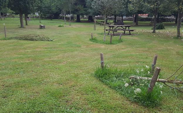 Tala vandálica de árboles en un parque de Tarriba