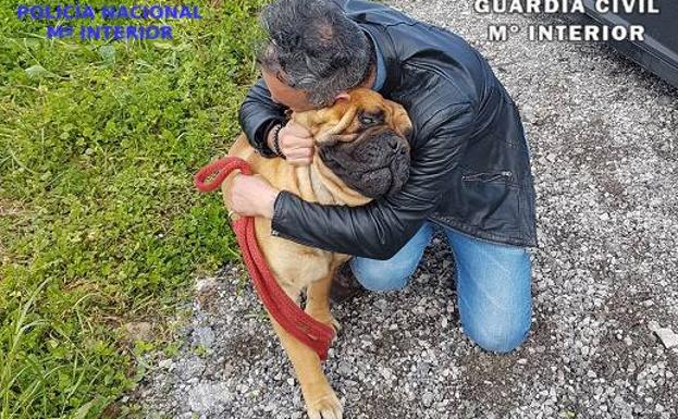 Varios miembros de un clan, detenidos ahora por robar perros