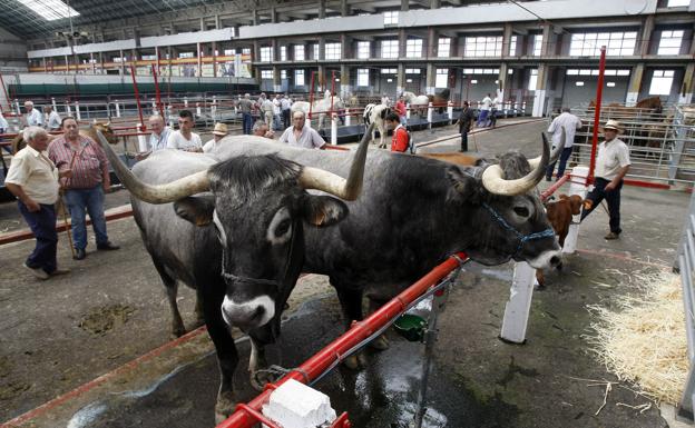 La economía de Cantabria crece un 2,8% el segundo trimestre