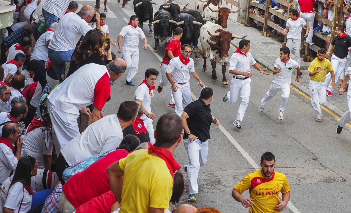 Carreras rápidas y limpias en el primer encierro de Ampuero