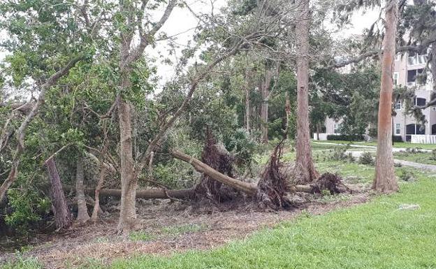 «Irma no llegó con fuerza a Orlando»