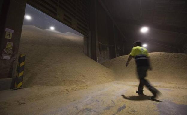 La sequía multiplica la importación de cereal en Cantabria