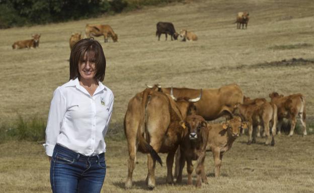 La alternativa ‘eco’ para el campo cántabro