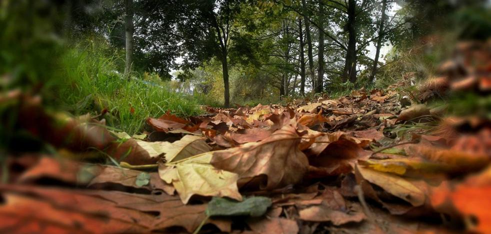 Siete razones para dar la bienvenida al otoño