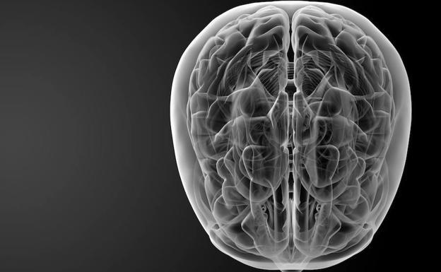 Así daña el cerebro de un niño los malos tratos