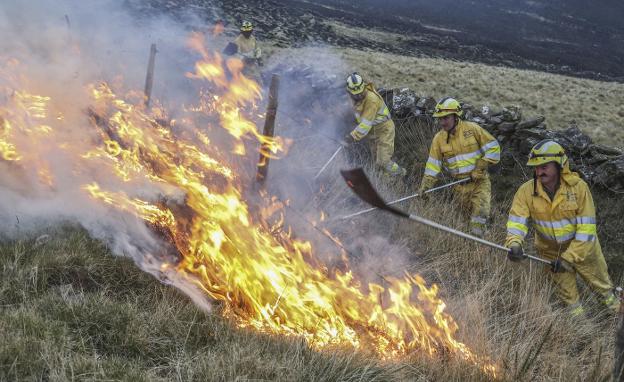 Cantabria sólo investiga a un pirómano tras un millar de incendios forestales