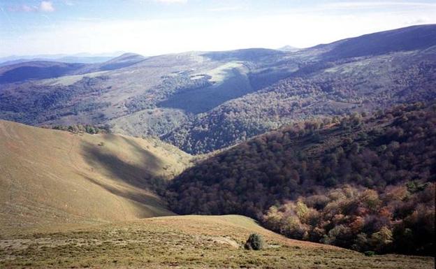 La lluvia y la niebla frenan la progresión de la Reserva del Saja