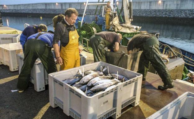 Pesca enviará pruebas gráficas al Ministerio para luchar contra los descartes