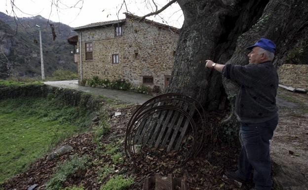 Medio siglo de ETA en Cantabria: la cicatriz terrorista de Mogrovejo