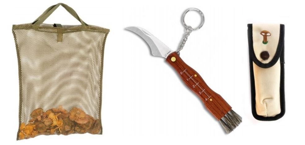 Disfrutar del otoño recolectando setas