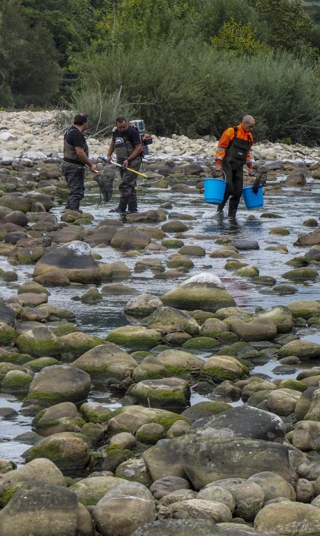 Hazas de Cesto recomienda no usar el agua del grifo, que sale turbia «por la sequía»