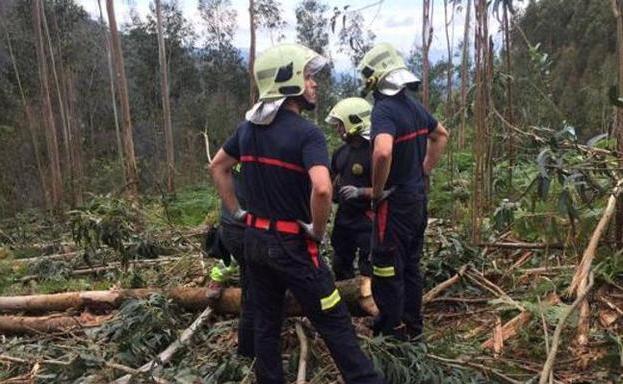 Accidentes en cadena en las empresas madereras