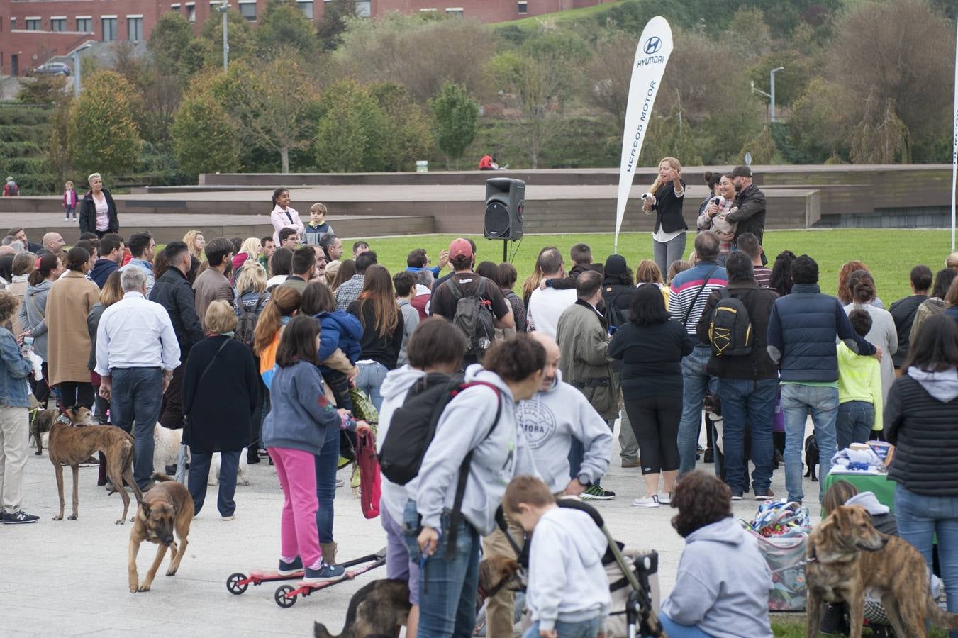 Un centenar de perros se reunieron este domingo en Las Llamas con motivo de la III Feria de Animales