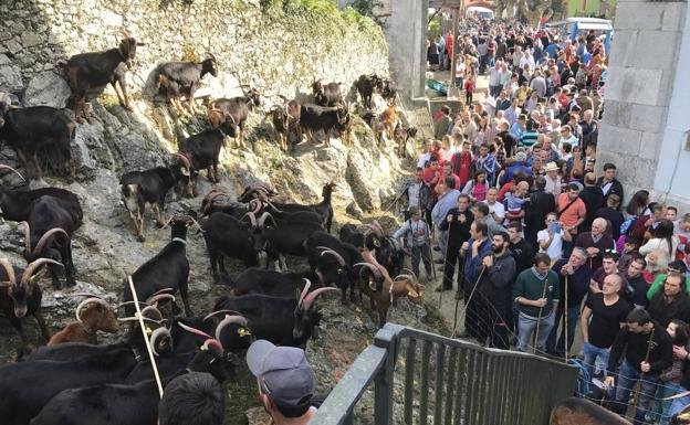 Arredondo cumple con la tradición de Todos los Santos