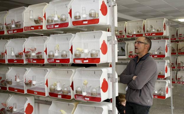 Más de 1.480 aves participan en el XVIII Concurso Ornitológico de Torrelavega