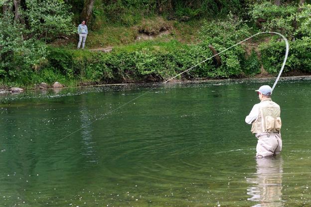 El salmón esquiva la sequía