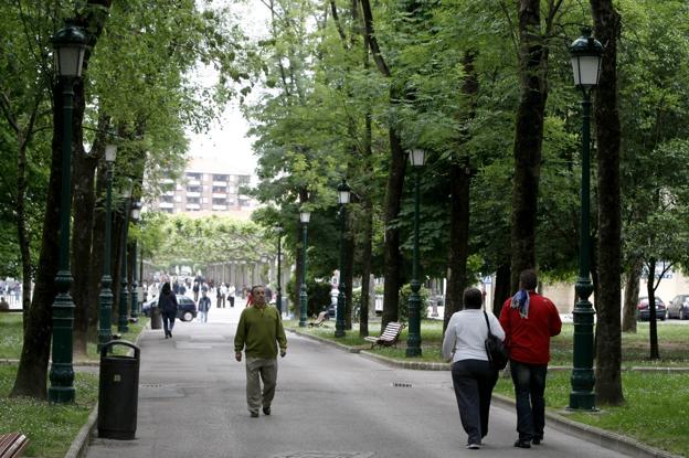 Una radiografía arbórea de Torrelavega