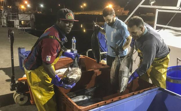 Los partidos se unen para evitar la amenaza del arrastre para el bonito