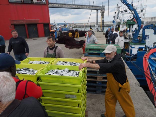 Récord de facturación en el puerto pejino