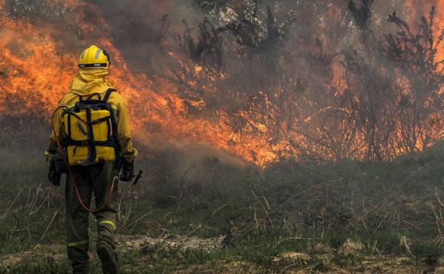 Medio Rural aumentará un 3,5% su presupuesto hasta llegar a los 85,4 millones