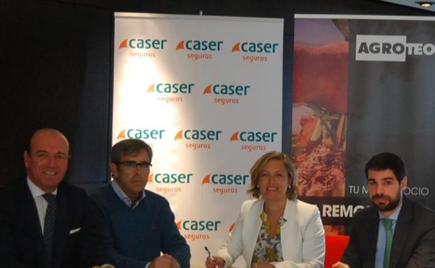 Agroteo será el agente de seguro agrario de remolacha de Caser