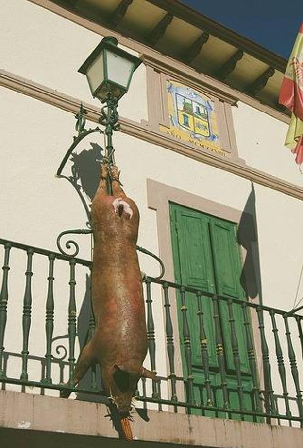 El cerdo muerto colgado en la fachada de la Junta Vecinal de Otañes desata las críticas de Equo