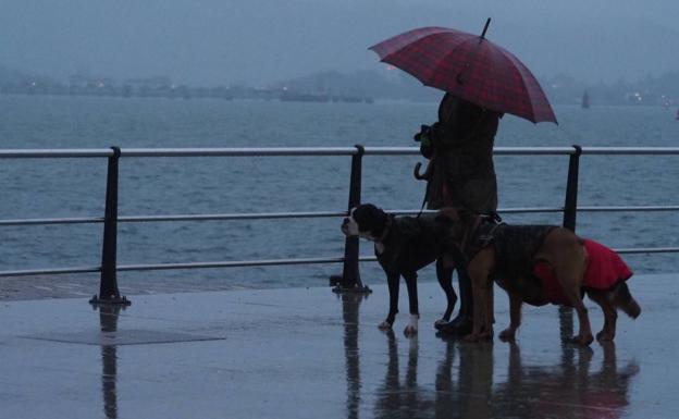 Cómo actuar ante un temporal