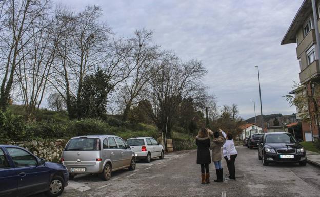 «Esto está lleno de nidos de avispas y les tenemos pánico»