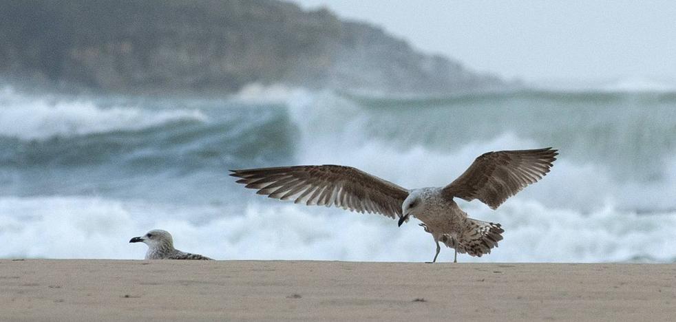 Olas de 10 metros activan la alerta roja en la costa cántabra