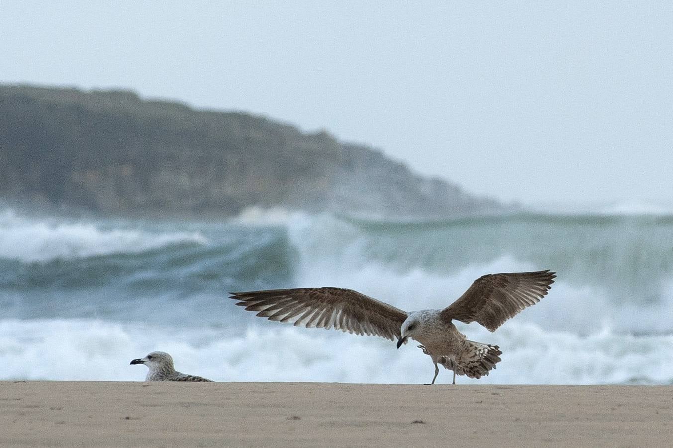 Alerta roja en el mar por olas de hasta 10 metros