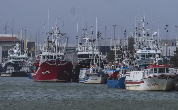 ‘Bruno’ sube los precios del marisco y el pescado por la falta de capturas