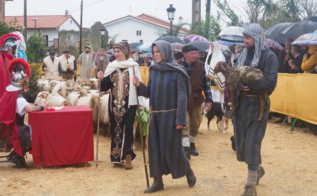 Los Reyes Magos, Herodes y la Sagrada Familia se citan en Seña