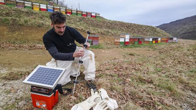 Un tercer oso lleva ahora la inquietud a los vecinos del pueblo de Garabandal