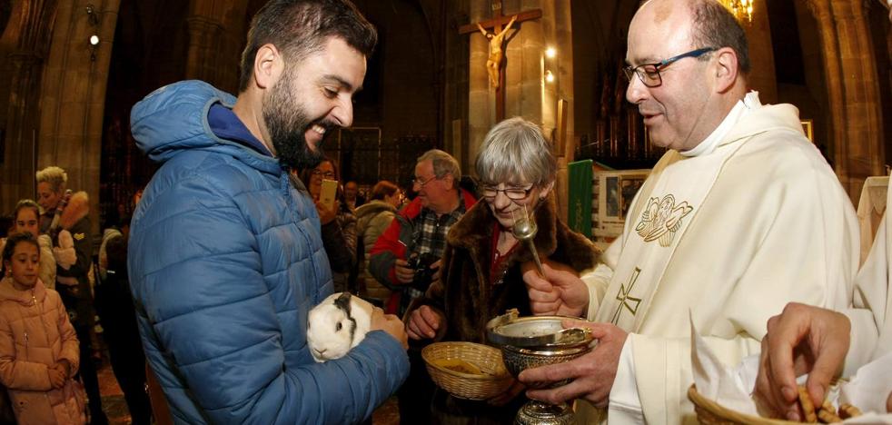 Bendición para las mascotas el día de San Antón