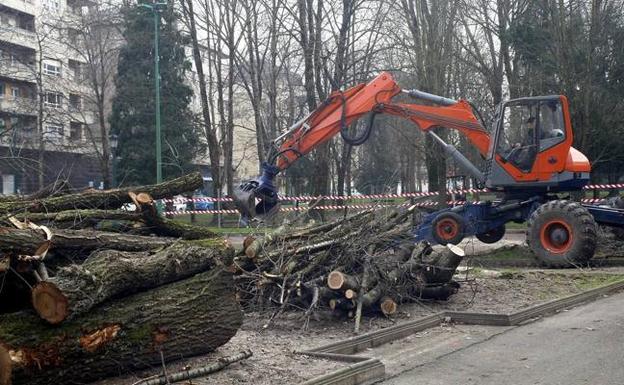 La tala de árboles en el parque Manuel Barquín desata las críticas de los vecinos