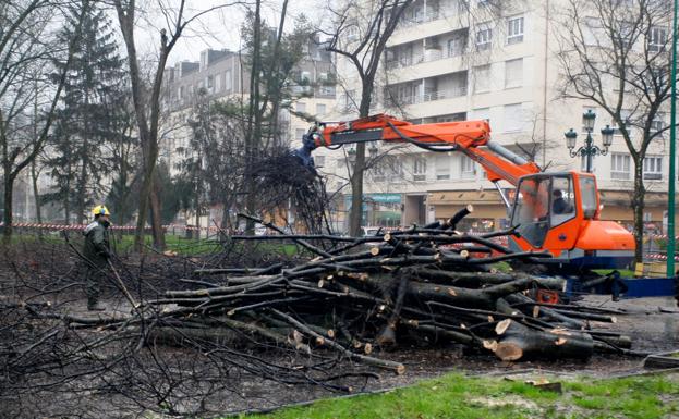 Vecinos de Torrelavega piden al Ayuntamiento normas de respeto para los árboles