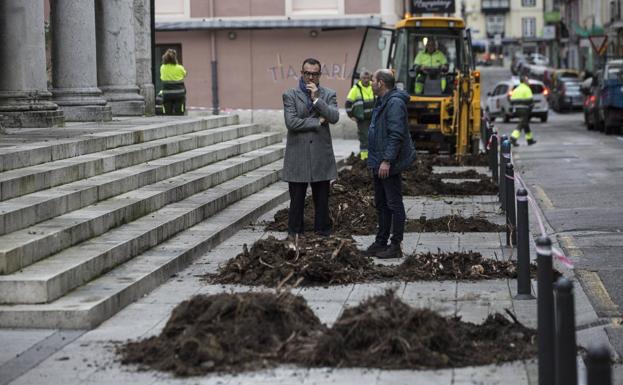El Ayuntamiento jubila a los viejos árboles de Santa Lucía