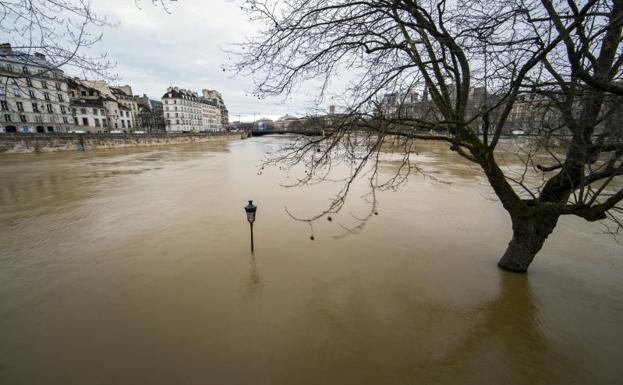 El Sena, desbordado, sigue subiendo en París
