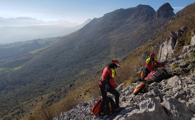 Los bomberos de Laredo socorren a un trabajador al que le cayó un árbol encima en Escalante