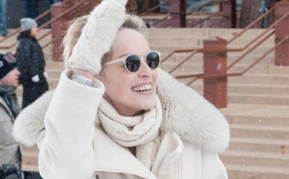 'Mosaic', Sharon Stone tu no te merecías esto