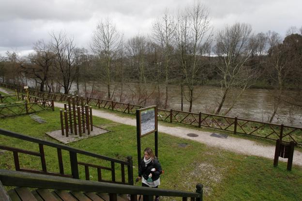 La construcción de la pasarela sobre el río supondrá la tala de 60 árboles