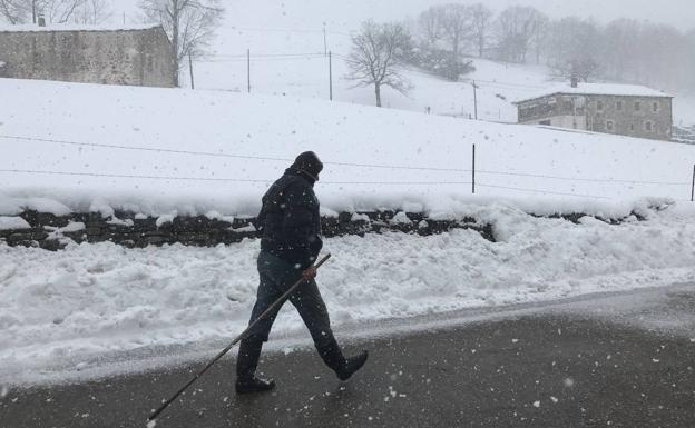 «La nieve es muy blanca... y muy negra»