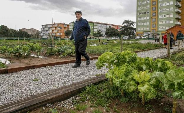 La red de huertos urbanos se completa con la entrega de las últimas parcelas